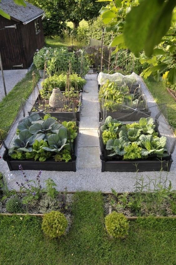 Potager avec lits encadrés