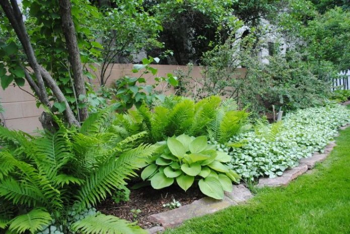 Jardin à faible entretien