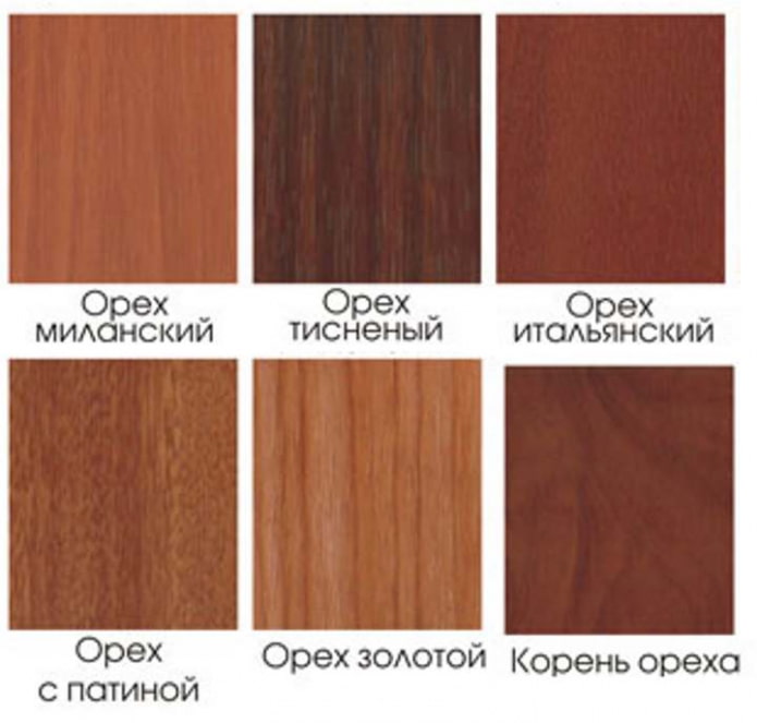 nuances de couleur du noyer