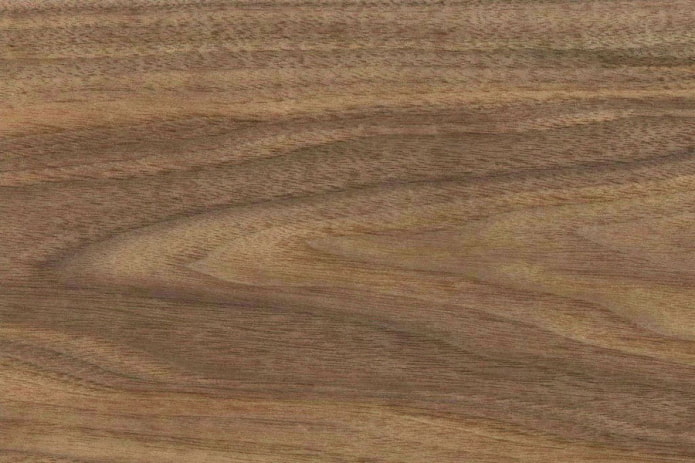 Panneau de particules de noyer américain