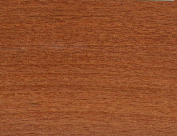 texture noyer doré