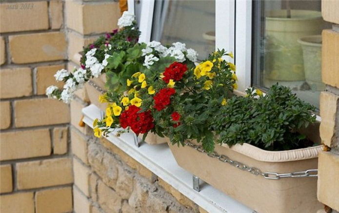 flowerbed on the ebb