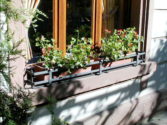 Beau parterre de fleurs sur le rebord de la fenêtre