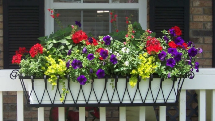 paniers avec fleurs