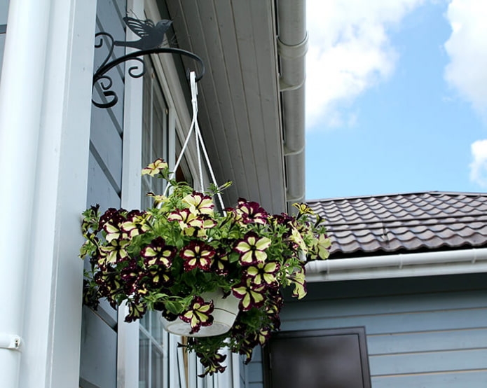 pot de fleurs suspendu