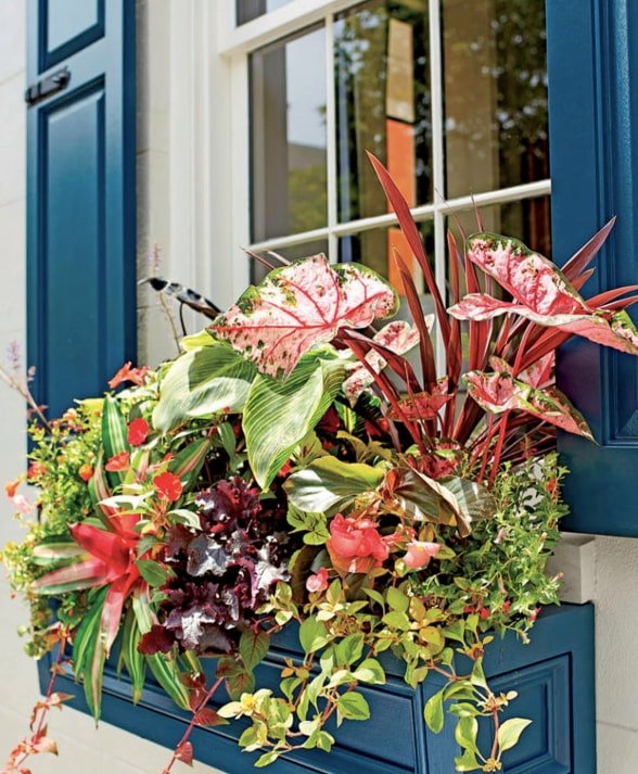 fleurs à l'extérieur de la fenêtre