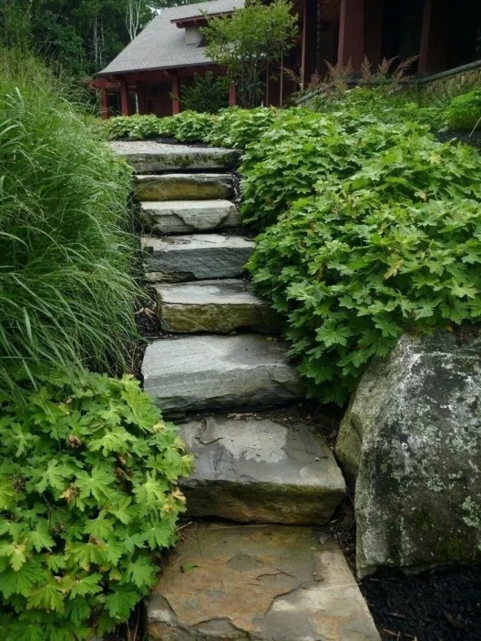 escaliers en pierre dans le jardin