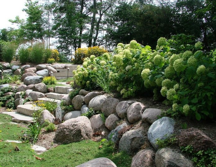 Arbustes à fleurs pour le talus
