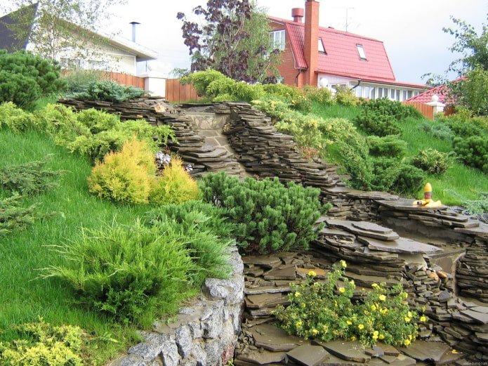 Plantes pour le talus