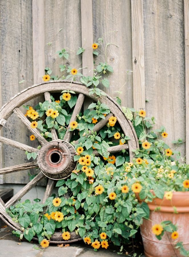 Roue avec fleurs