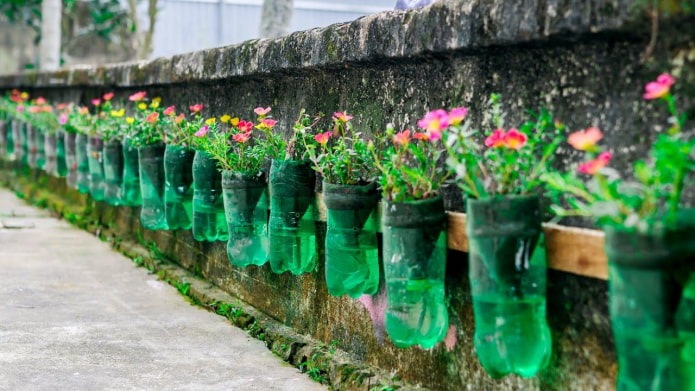 Parterre de fleurs sur une clôture en bouteilles