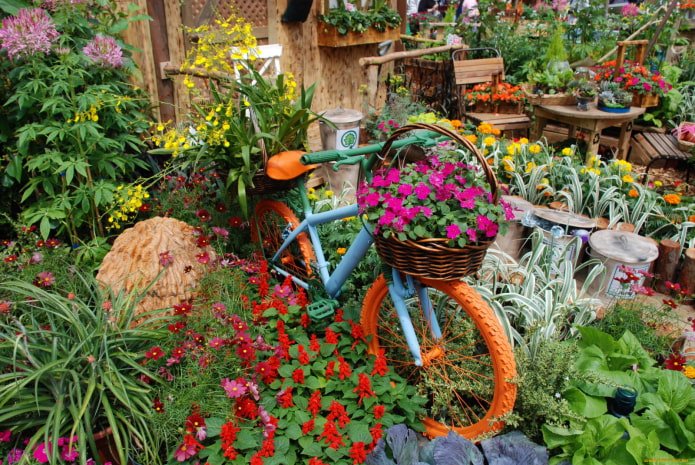 Vélo parmi les fleurs