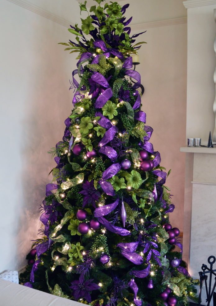 Épicéa violet et vert