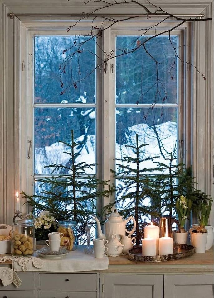 Sapins de Noël vivants sur le rebord de fenêtre