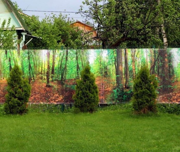 Photo filet sur clôture grillagée