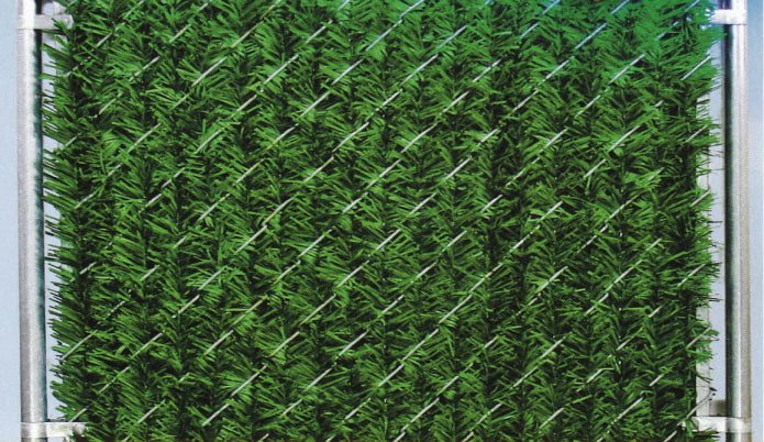 aiguilles de pin artificielles dans une clôture grillagée