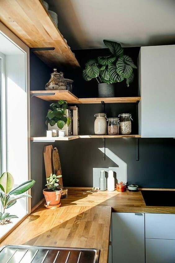 Plante d'intérieur