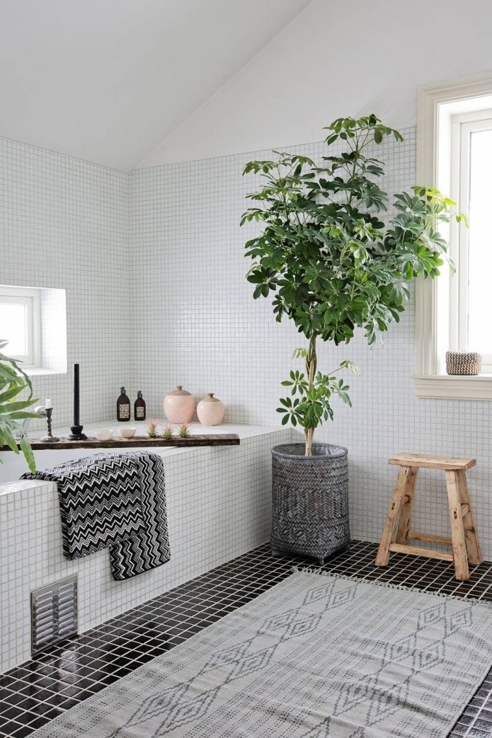 Plantes dans la salle de bains