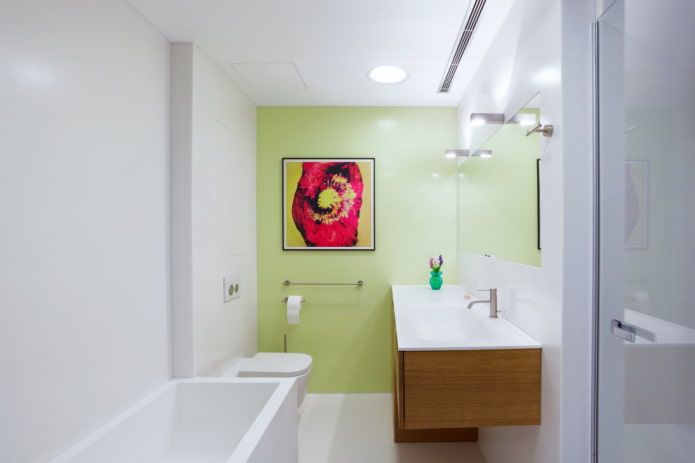 salle de bain élégante