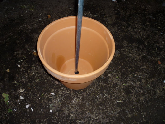 Un pot sur une tige