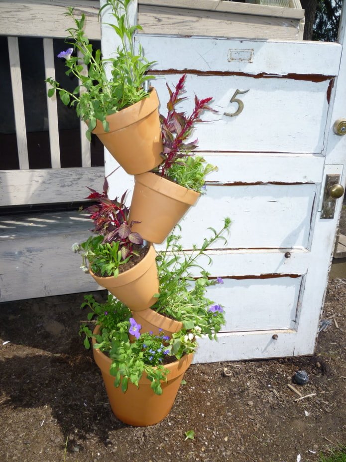 Parterre de fleurs en pots
