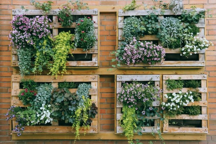 Parterres de fleurs verticaux sur une clôture