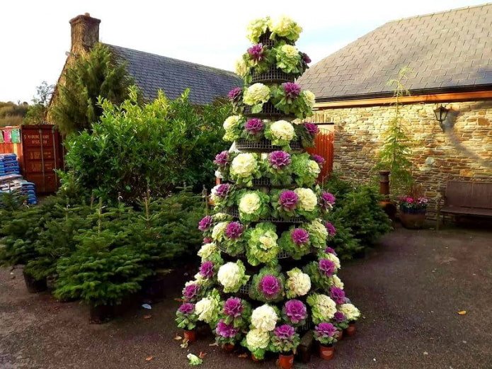 Parterre en cascade