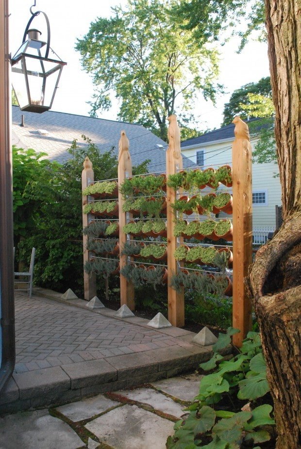 Paravent de plantes dans un pot de fleurs