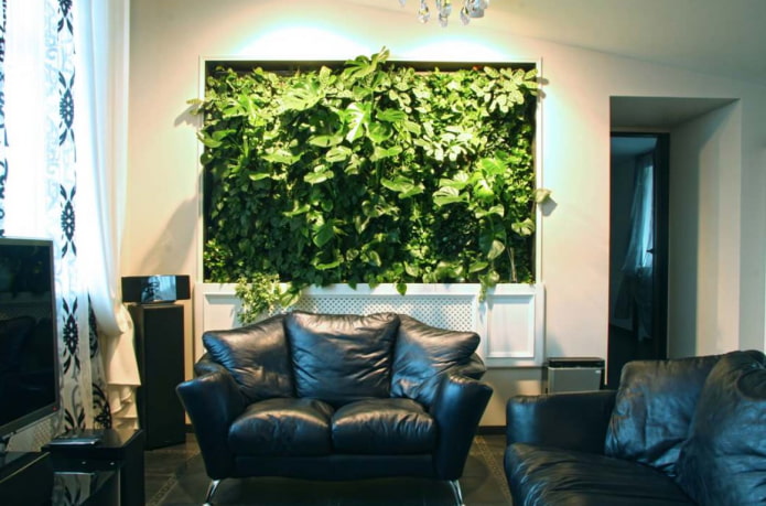 Verdure verticale dans le salon