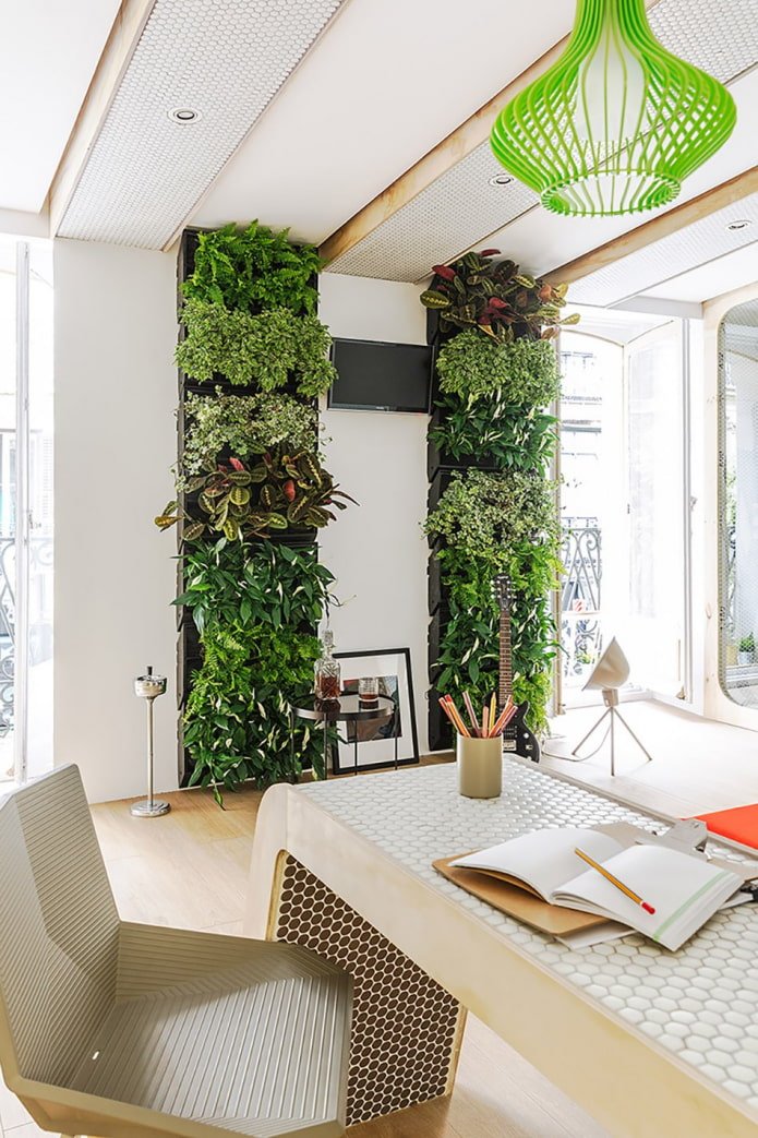 Plantes modulaires pour l'intérieur