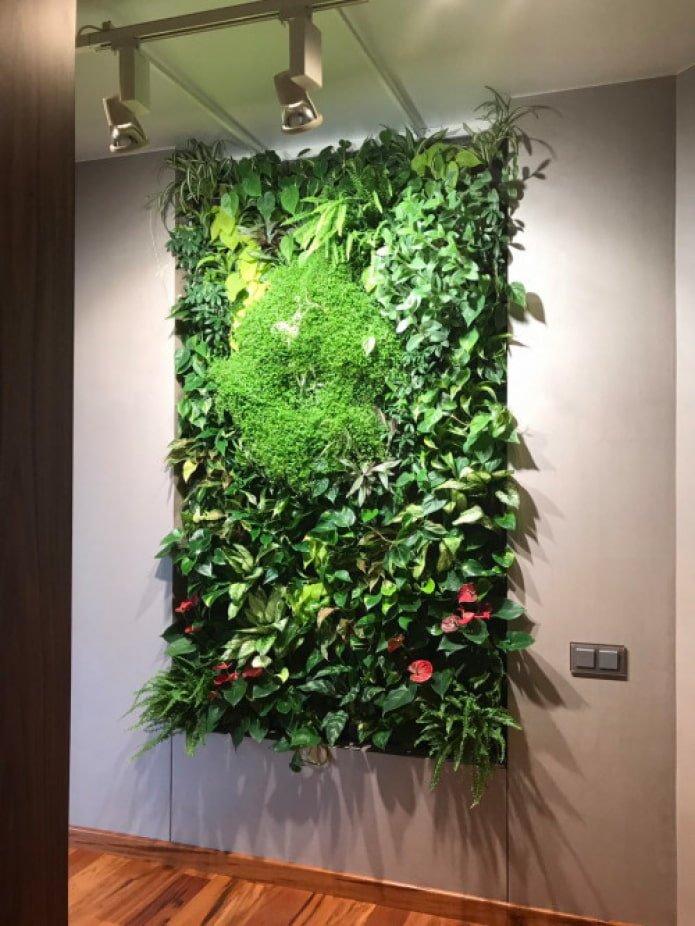 phytopanel en vigne