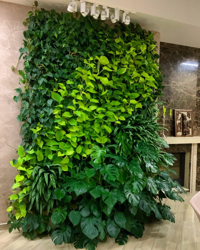 mur végétal dans la maison