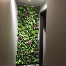 Comment faire du jardinage vertical d'intérieur ?-0