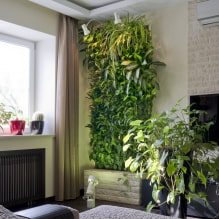 Comment réaliser un jardinage vertical à l'intérieur ? -3