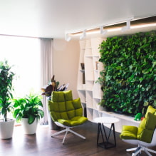 Comment réaliser un jardinage vertical à l'intérieur ? -5