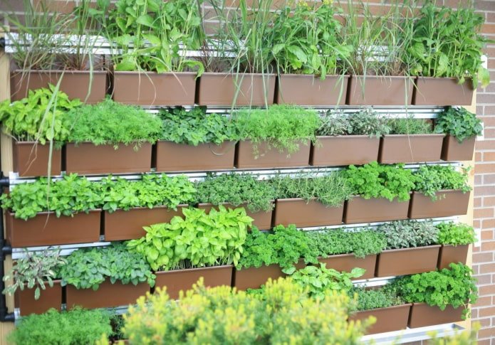 Jardin vertical en bacs