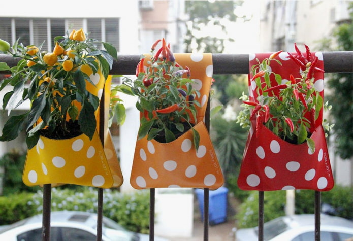 Petits sacs pour poivrons