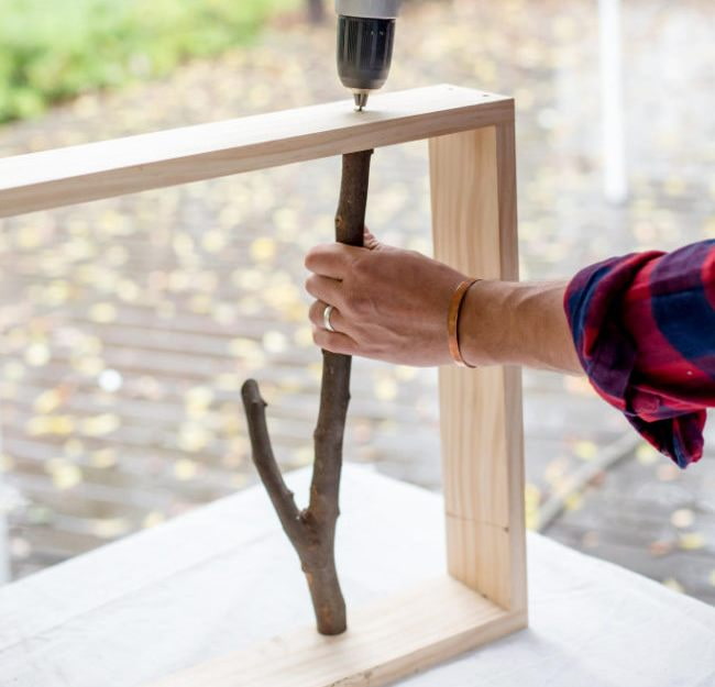Insertion des branches