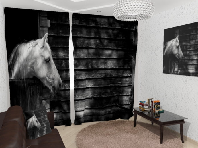 Rideaux photo 