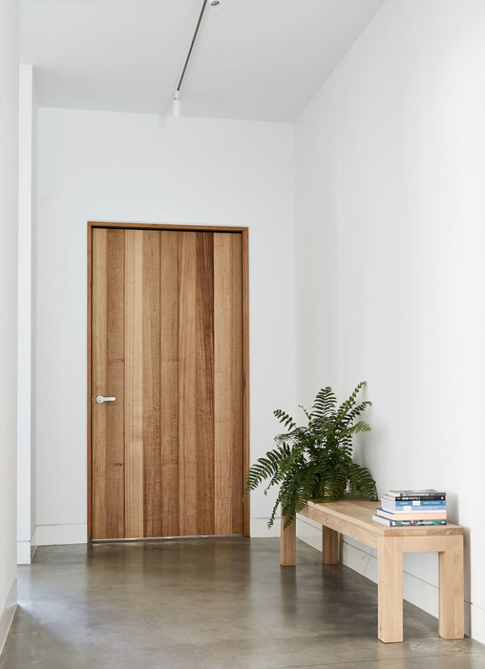 modèle de porte d'entrée de style minimaliste