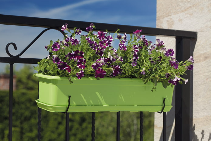 pots de fleurs suspendus pour une clôture ou un portail