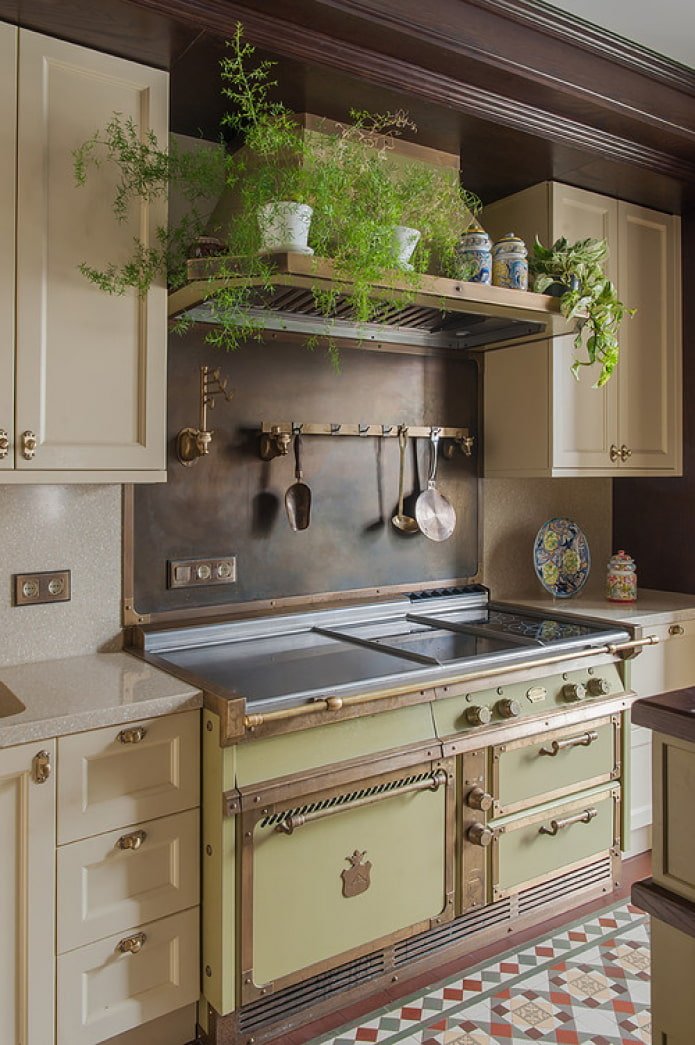 plants in the kitchen