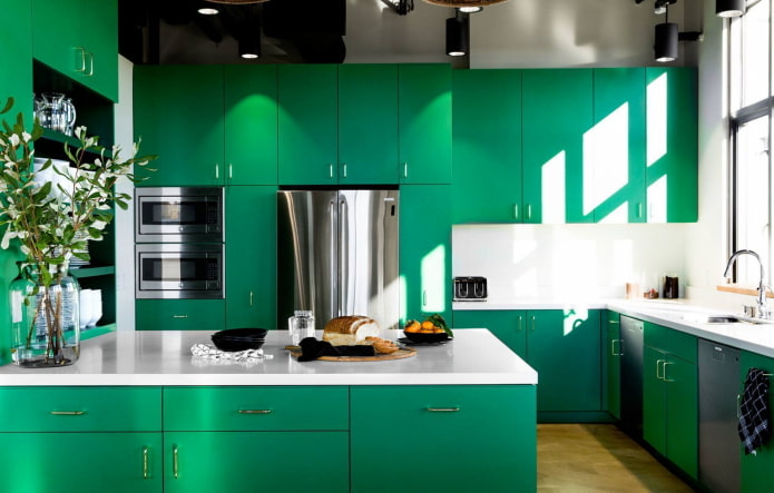 Meubles de cuisine aux tons verts