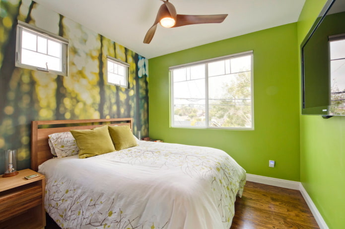 Décoration de chambre dans les tons verts