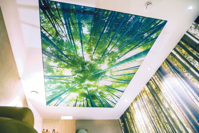 Tissu extensible vert avec impression photo