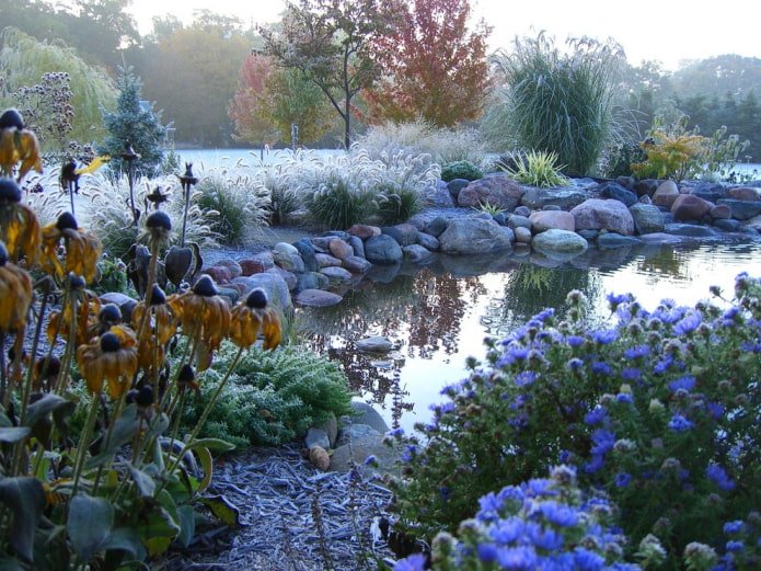 Jardin avec des céréales avec un étang
