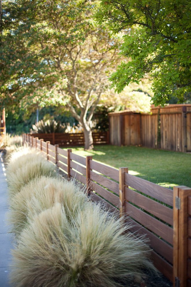 Grasses near the fence
