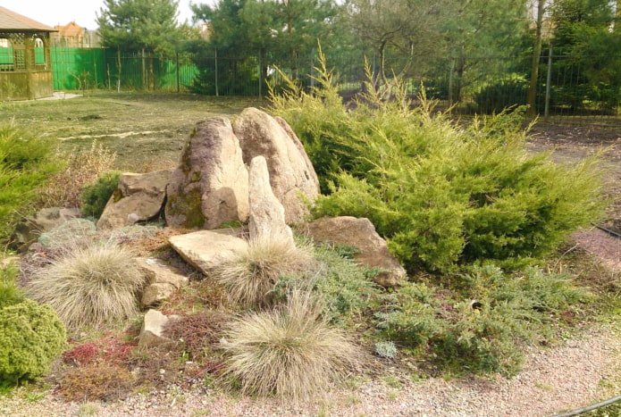 Rocailles avec céréales