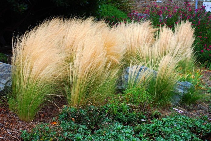 Grains in a group