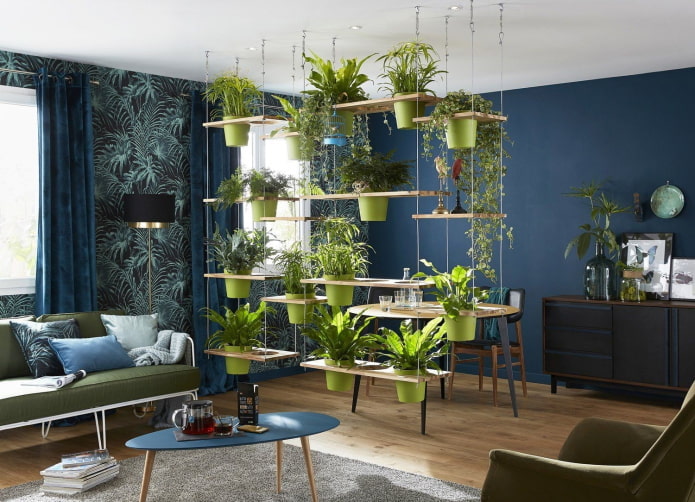 Plantes comme cloison